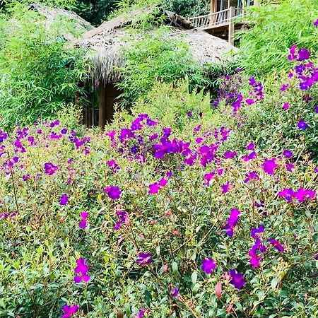 Pu Luong Cuisine Garden Homestay Lang Bang Exteriör bild
