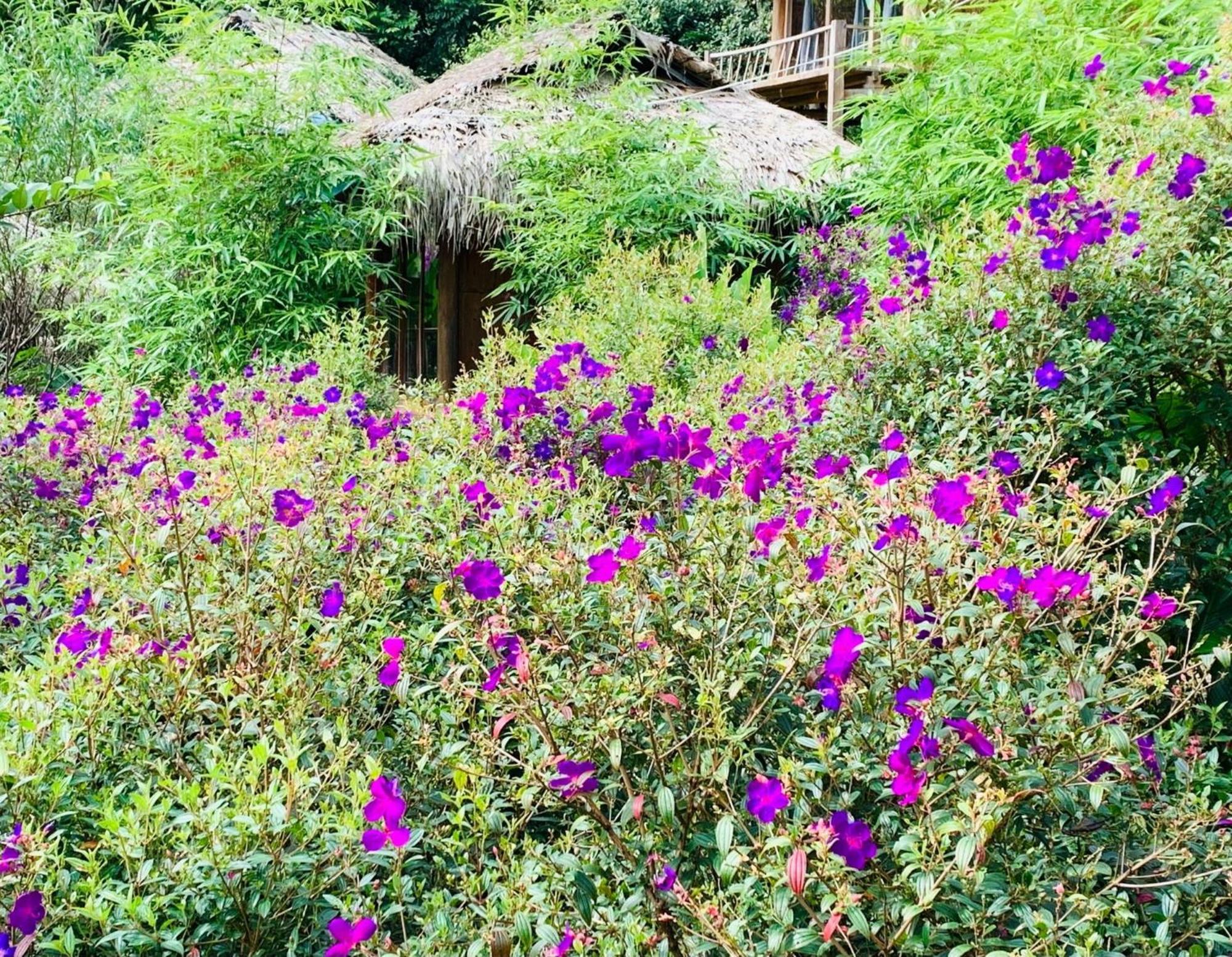 Pu Luong Cuisine Garden Homestay Lang Bang Exteriör bild